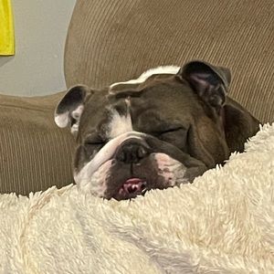 Meet your Posher, Alexandra